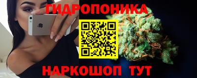 стаф Моздок